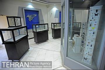 موزه طبیعت و حیات وحش دارآباد تهران 21