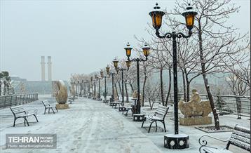 پل طبیعت سپیدپوش شد 3