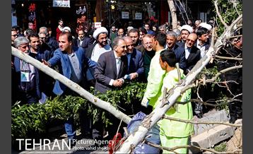 مراسم احیای درختان خیابان ولیعصر (عج) 7