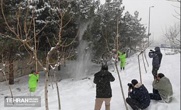 بازدید اصحاب رسانه از خدمات برف‌روبی منطقه 5 شهرداری تهران 22