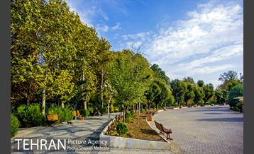 پاییز بوستان لاله 13