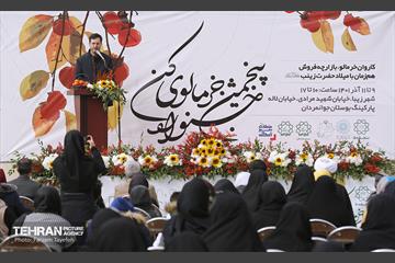 پنجمین جشنواره خرمالوی کن 10