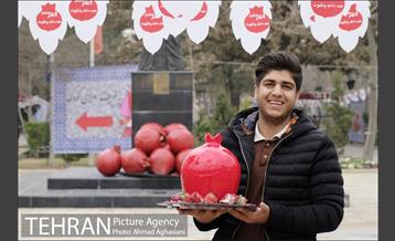 هفتمین جشنواره انار فرهنگسرای اشراق 3