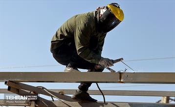 اینجا کارگاهه؛ بازار پرندگان خلیج فارس 12