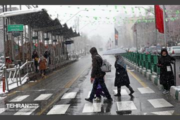 بارش برف در تهران 19