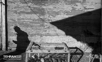 زیر پوست شهر / حمید رضا درجاتی