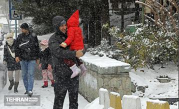 بارش برف زمستانی در منطقه ۲ 34