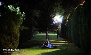 مراسم احیای شب بیست‌وسوم در دانشگاه تهران 48