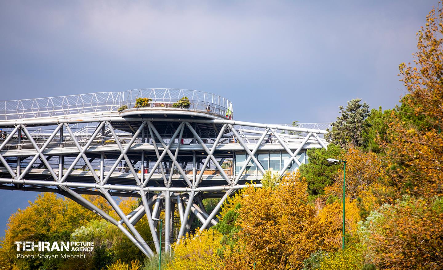 سمفونی رنگ های پاییزی 32