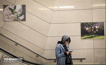 رونمایی از سند ایزو14001 ایستگاه مترو تربیت مدرس 1