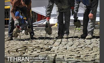 خیابان سی تیر، سنگ فرش می شود  7