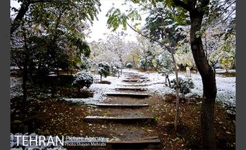 بارش برف پاییزی در بوستان طالقانی 15