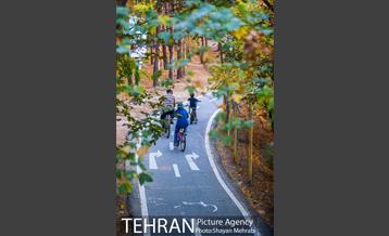 بوستان جنگلی چیتگر 44