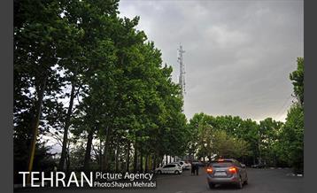 پارک جنگلی لویزان‎ 38