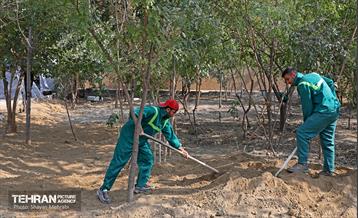 آخرین مراحل ساخت بوستان مادر و کودک "باغ نظر" 11