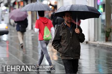 بارش باران بهاری در تهران 27