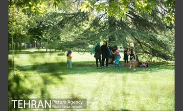 ظهر گرم تابستان 16