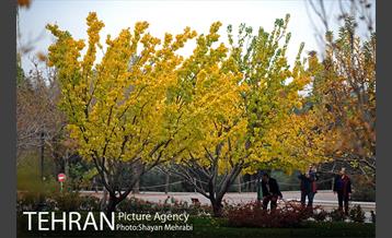 باغ گیاه‌شناسی ملی ایران 29
