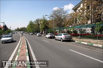 لاله برای مادران 13