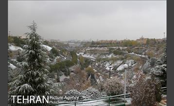 تهران سفید پوش شد 22