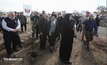 کاشت ۲۴۰۰۰ نهال به یاد شهدای پایتخت 22