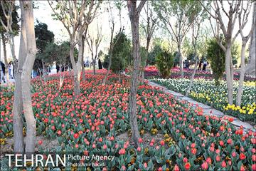 جشنواره لاله‌ها در بوستان زندگی محله هرندی 25