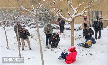 بازدید اصحاب رسانه از خدمات برف‌روبی منطقه 5 شهرداری تهران 23