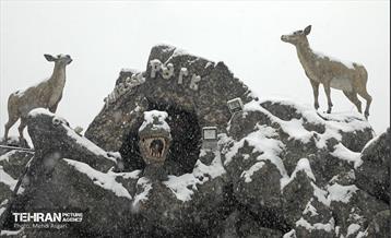 بارش برف زمستانی در منطقه ۲ 35