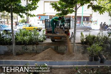 گلکاری در خیابان ولیعصر 7