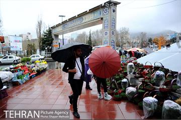 بارش باران در تهران 10