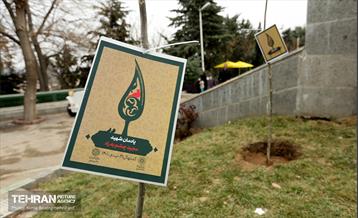 دومین پویش نفس‌های تازه شهر 23