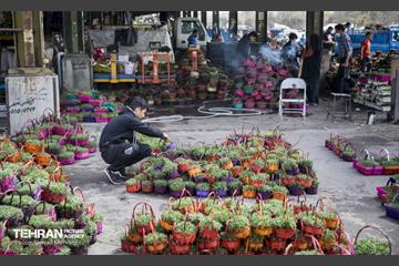 بازار میوه و تره بار مرکزی تهران در آستانه نوروز 7