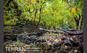 طبیعت پاییزی روستای سنگان 24