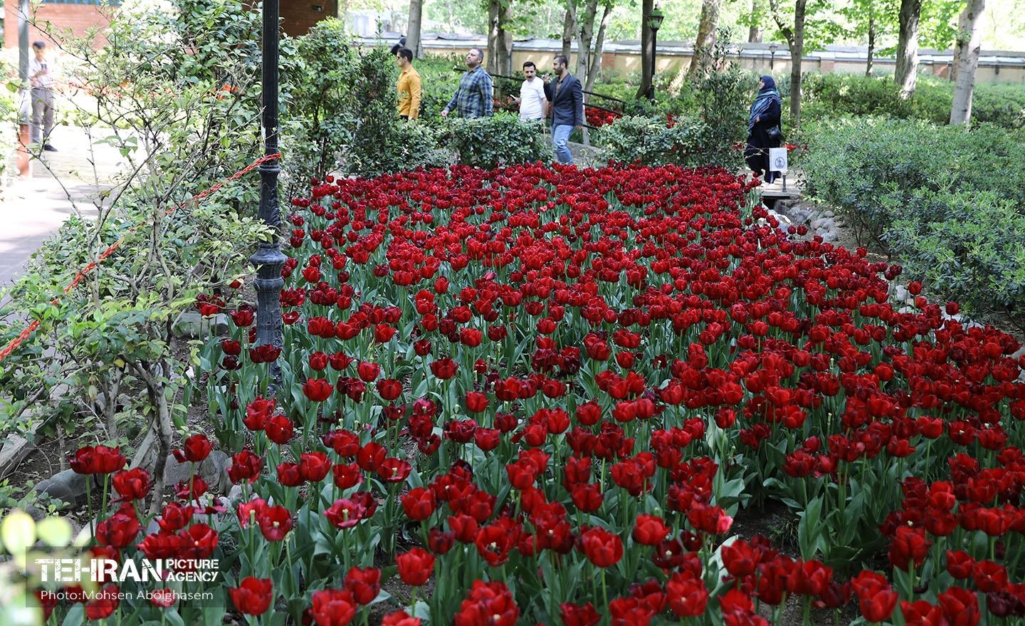 بازدید اصحاب رسانه از باغ ایرانی 7