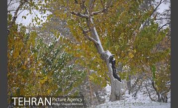برف پاییزی در تهران 7