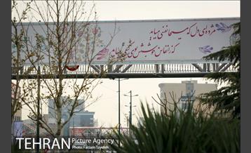 رنگ و بوی بهاری در خیابان های منطقه ۵