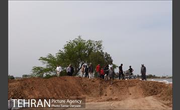 بازدید شهردار تهران از منطقه سیل زده پل سبحانیه دشت آزادگان 15