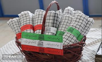 آماده‌سازی زائرشهر منطقه 4 8