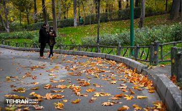 سمفونی رنگ های پاییزی - پارک ملت 21