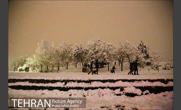 بارش برف در تهران  5