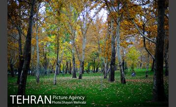 پاییز در بوستان ملت 37