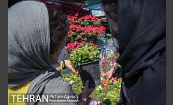 خرید لحظه آخری نوروزی 26