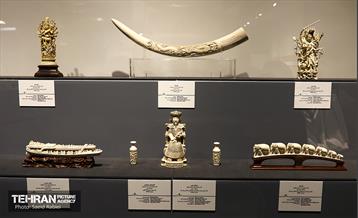 مجتمع فرهنگی موزه ای سردار آسمانی 9