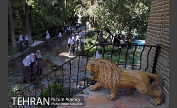 موزه آثار طبیعی و حیات وحش هفت چنار 12