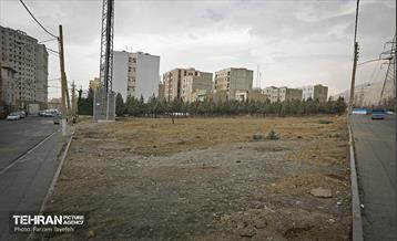 جابجایی اصولی 106 اصله درخت در منطقه 5 شهرداری 3