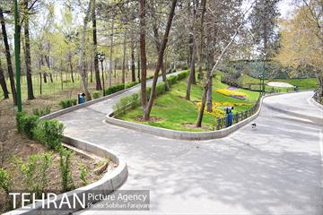 روز طبیعت متفاوت شهر تهران-1 22