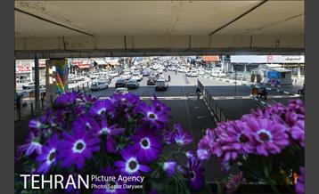 گل آرایی پل سیدخندان 21