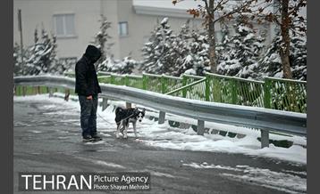 برف پاییزی در تهران 29