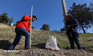 آیین کاشت گیاهان بومی پایتخت در برج میلاد 15