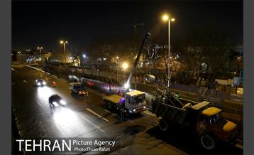 ​جا به جایی درختان گیشا به دلیل ساخت زیرگذر 25